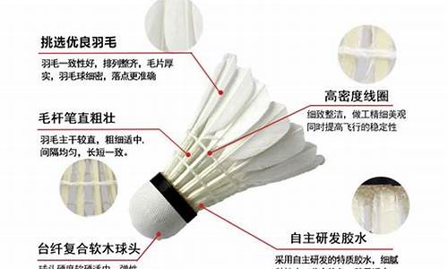 天和羽毛球价格_天羽羽毛球馆